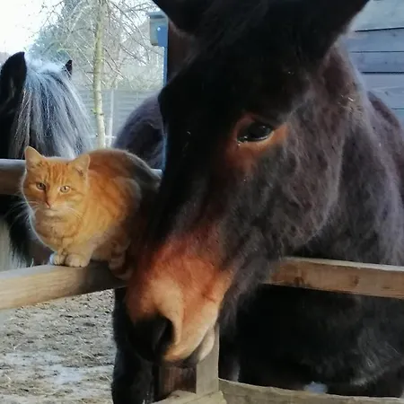 Balad'ane Frühstückspension