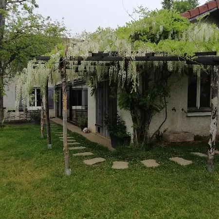 Balad'ane Bed & Breakfast Flachères